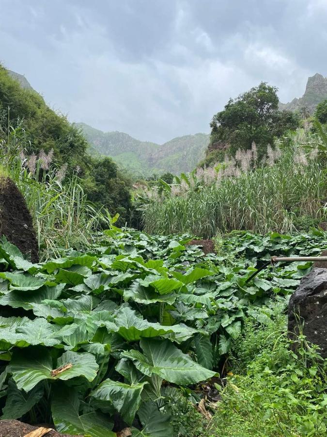 Maison Residencial Casa De Ferias Pedra Badejo  Kültér fotó